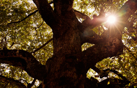 1_0c1a4454.jpg 1_0c1a4454.jpg